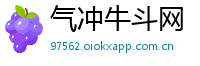 气冲牛斗网